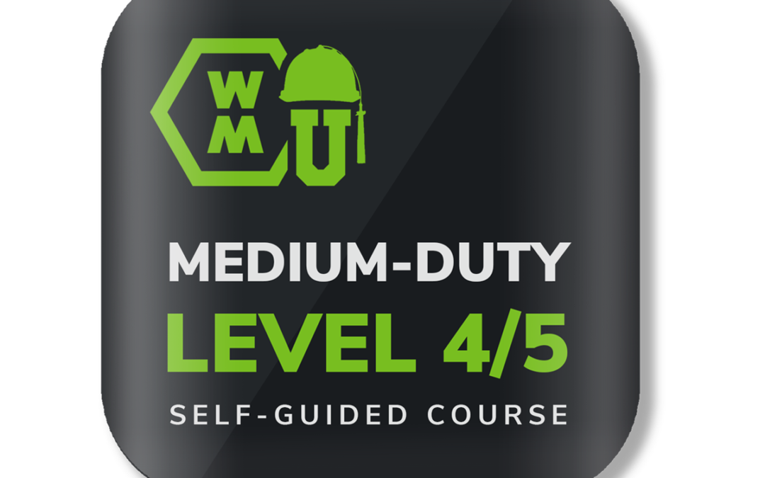 Level 4/5 Advanced Techniques Self Guided Training