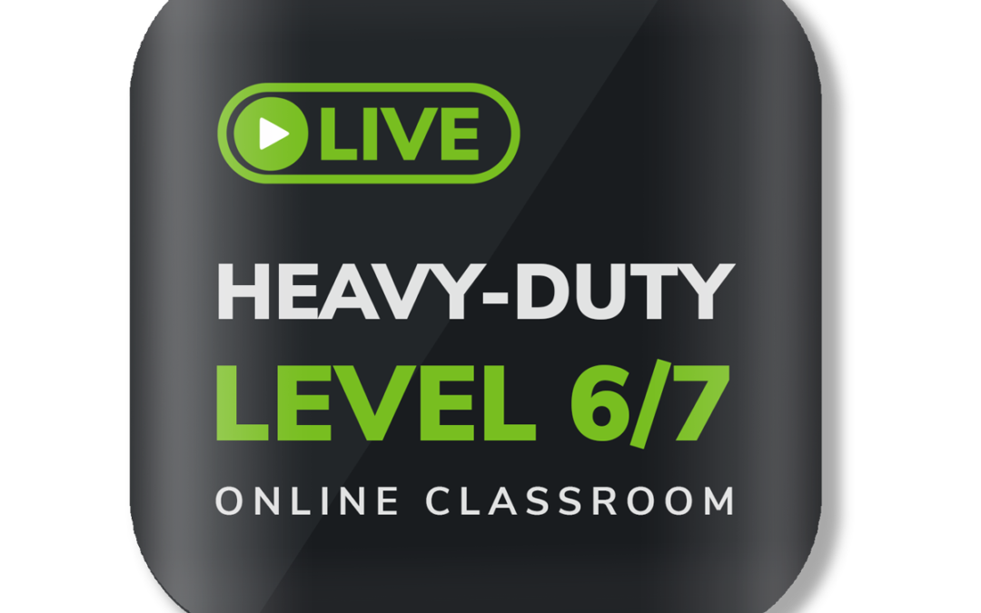 Level 6/7 Live Online Zoom Classroom Training